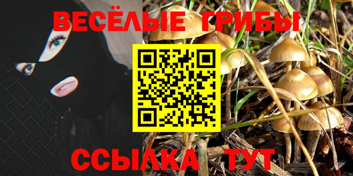 Волжск  Галлюциногенные грибы мицелий  Вход с VPN 